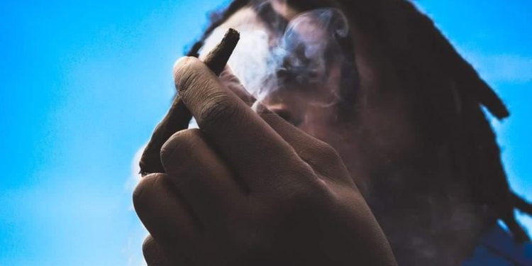 The All Rounder | Spunky Spontaneous